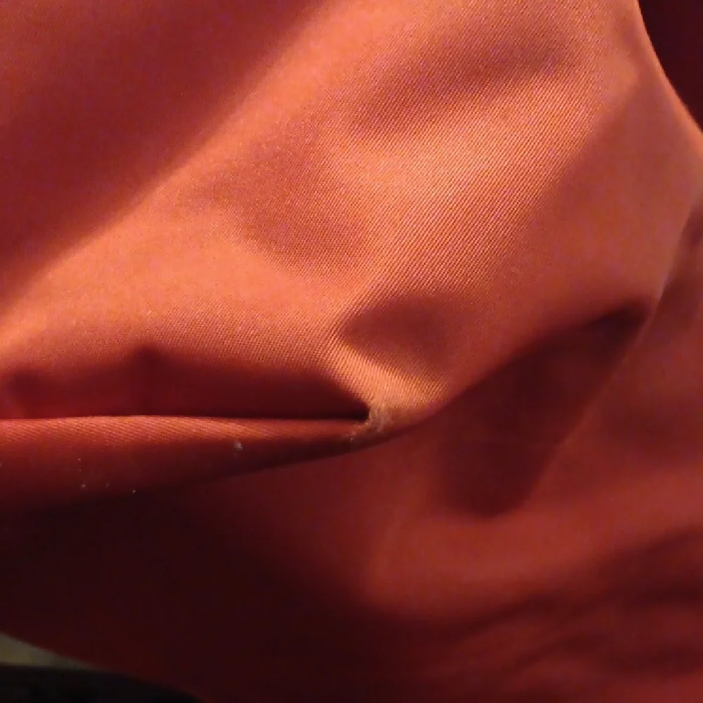 Longchamp Le Pliage Red Tote Bag EUC - Picture 13 of 14